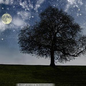 欧洲亚洲成人性事
